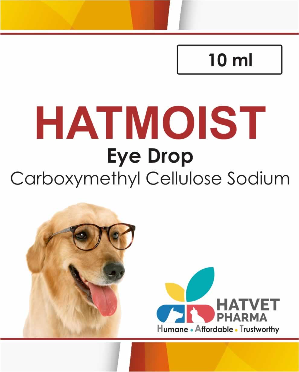 Glaucoma drops 2025 for dogs