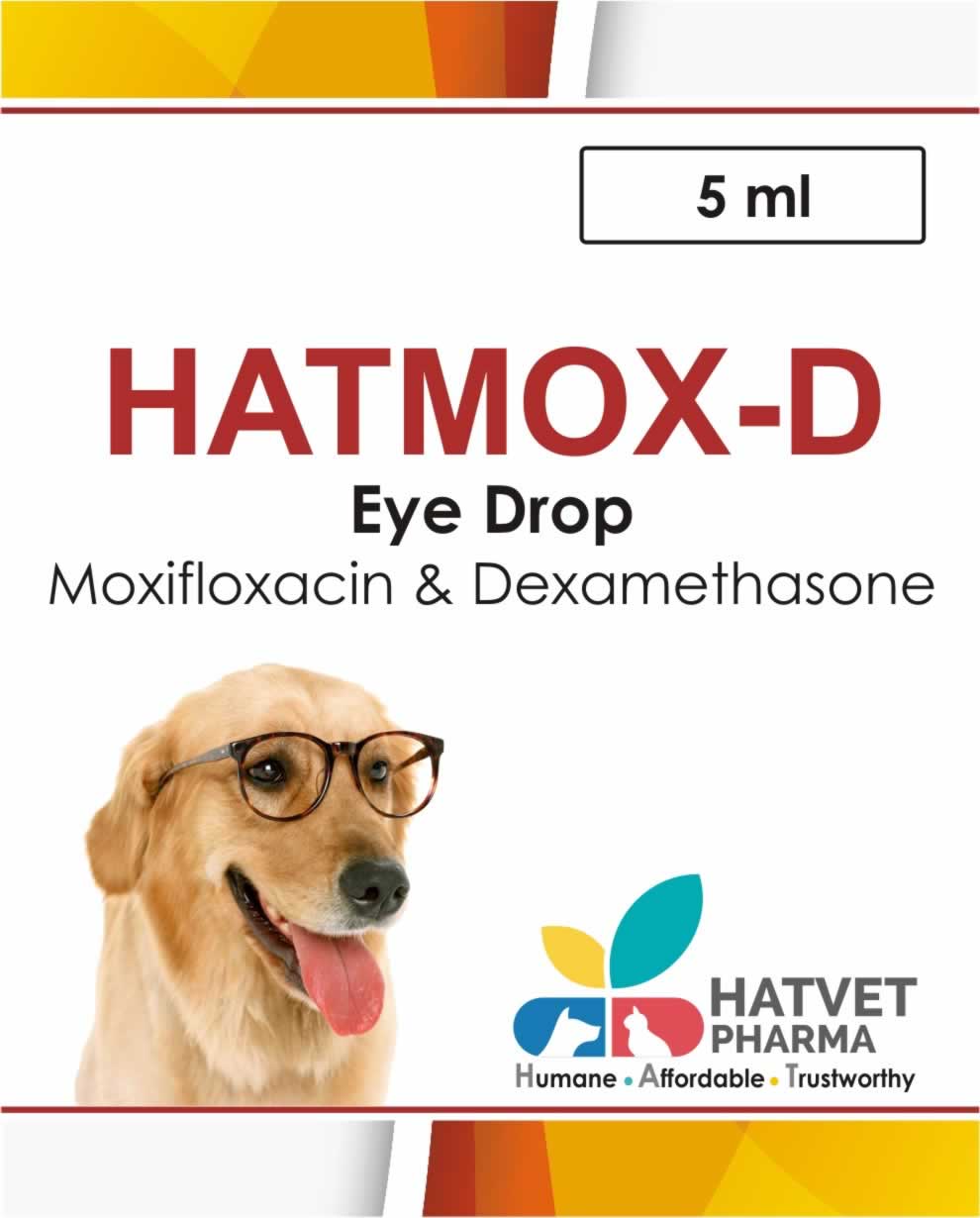 Hatmox D Eye Drop – HATVET PHARMA